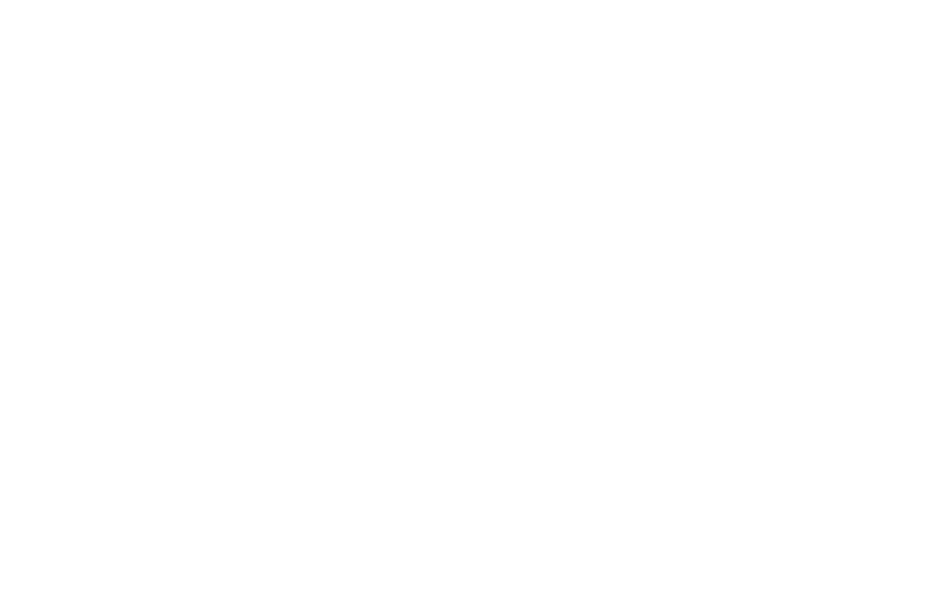 ACE® WASP AND HORNET SPRAY (WHA) - Ace Chemical